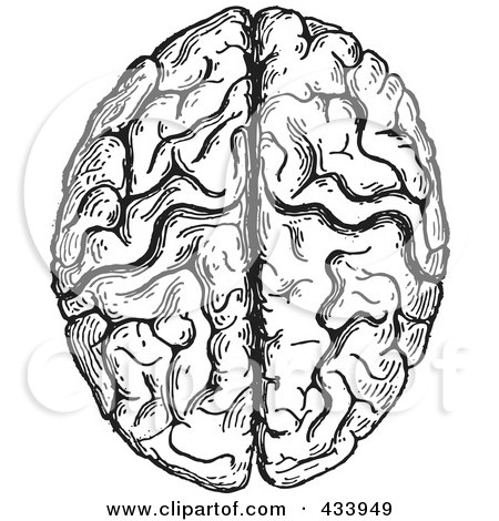 Royalty-Free (RF) Clipart Illustration of a Black And White Human Anatomical Brain Drawing - 1 by BestVector