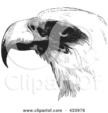 Royalty-Free (RF) Clipart Illustration of a Black And White Sketch Of An Eagle Face by BestVector