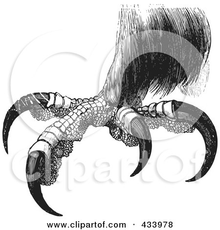 Royalty-Free (RF) Clipart Illustration of a Black And White Sketch Of Eagle Talons - 2 by BestVector