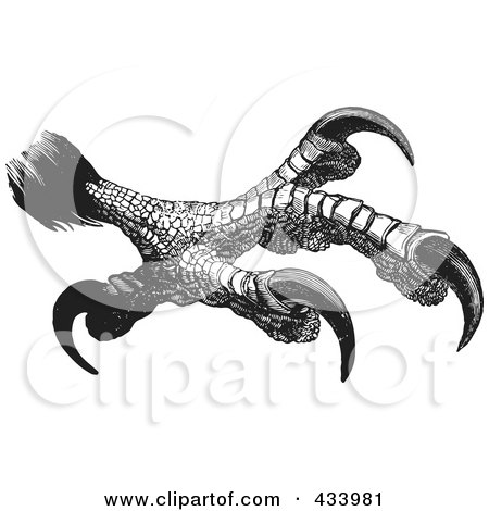 Royalty-Free (RF) Clipart Illustration of a Black And White Sketch Of Eagle Talons - 1 by BestVector