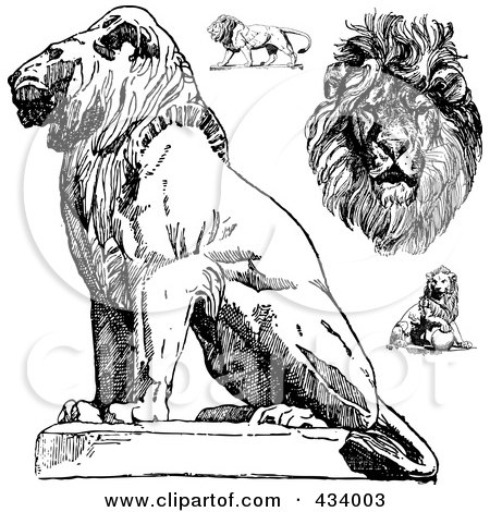 Royalty-Free (RF) Clipart Illustration of a Digital Collage of Vintage Black And White Lion Sketches by BestVector