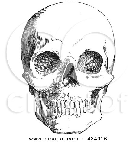 Royalty-Free (RF) Clipart Illustration of a Vintage Black And White Anatomical Sketch Of A Human Skull - 7 by BestVector