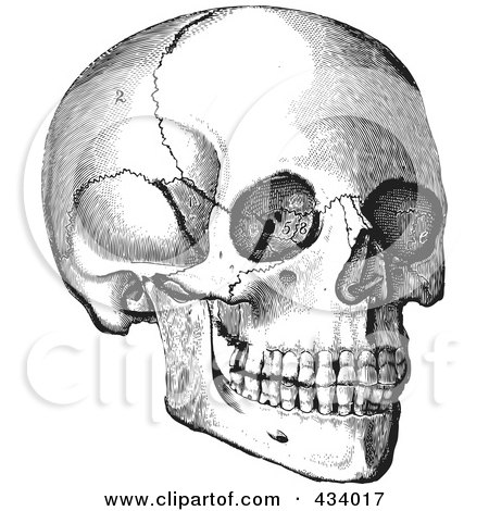 Royalty-Free (RF) Clipart Illustration of a Vintage Black And White Anatomical Sketch Of A Human Skull - 3 by BestVector