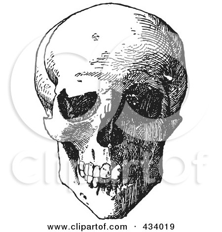 Royalty-Free (RF) Clipart Illustration of a Vintage Black And White Anatomical Sketch Of A Human Skull - 8 by BestVector