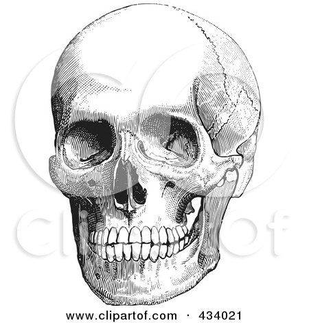 Royalty-Free (RF) Clipart Illustration of a Vintage Black And White Anatomical Sketch Of A Human Skull - 1 by BestVector