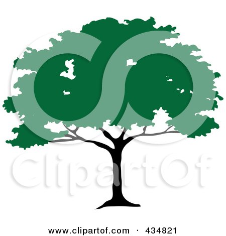Royalty-Free (RF) Clipart Illustration of a Green African Umbrella Thorn Tree by Pams Clipart