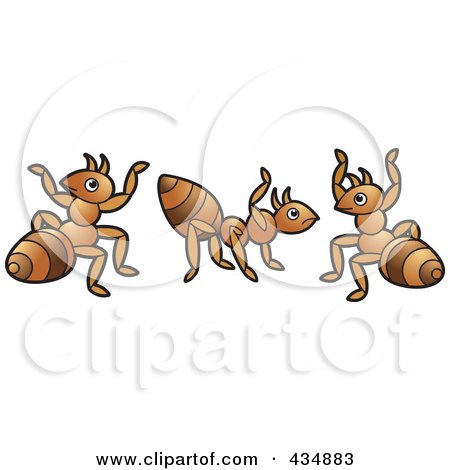 Royalty-Free (RF) Clipart Illustration of a Digital Collage of Three Ants by Lal Perera