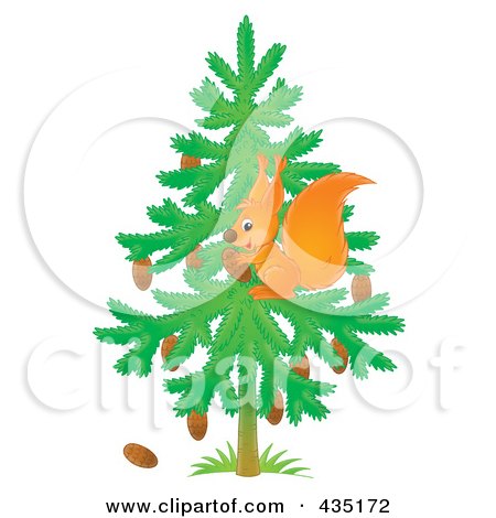 Royalty-Free (RF) Clipart Illustration of a Wild Squirrel Gathering Pine Cones In A Tree by Alex Bannykh