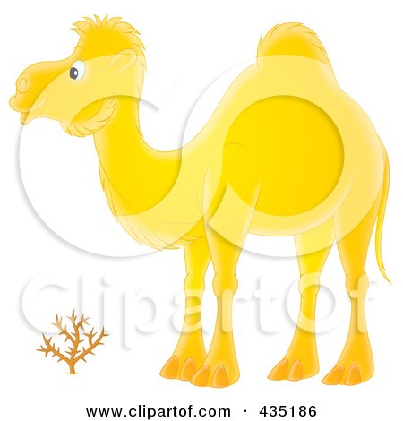 Royalty-Free (RF) Clipart Illustration of a Yellow Camel by Alex Bannykh