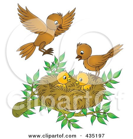 Royalty-Free (RF) Clipart Illustration of Cartoon Birds Tending To Their Young by Alex Bannykh