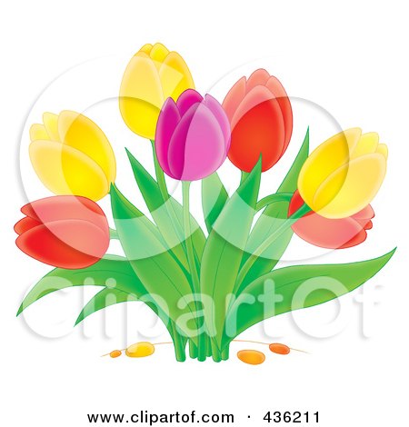 Royalty-Free (RF) Clipart Illustration of a Colorful Tulip Plant by Alex Bannykh