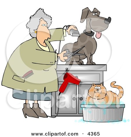 Female Veterinarian Grooming and Trimming Dog's Hair Clipart by djart