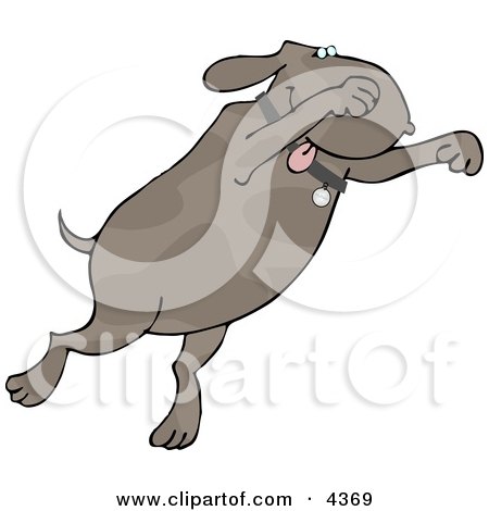 Happy/Excited Dog Jumping Up Clipart by djart