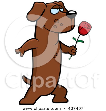 Royalty-Free (RF) Clipart Illustration of a Romantic Dachshund Presenting A Single Rose by Cory Thoman