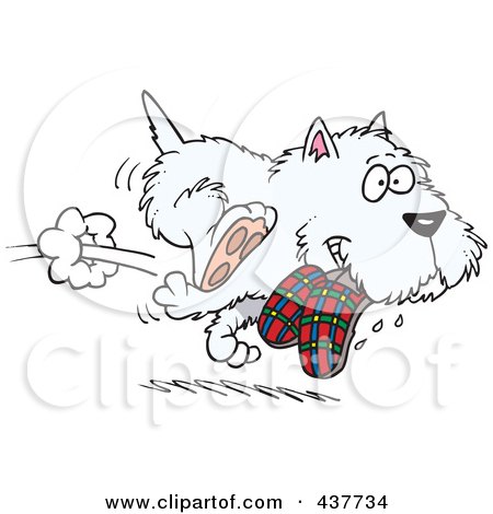 Royalty-Free (RF) Clip Art Illustration of a Cartoon Terrier Dog Stealing Slippers by toonaday