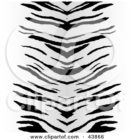 Clipart Illustration of a Background Of Black Zebra Stripes Centered On White by Arena Creative