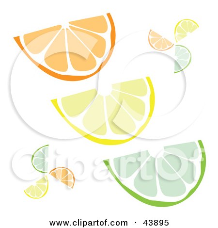 Clipart Illustration of Wedge Slices Of Oranges, Lemons And Limes On White by Arena Creative