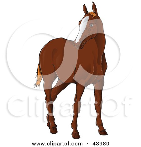 Clipart Illustration of a Brown Horse Standing And Looking Left by Paulo Resende
