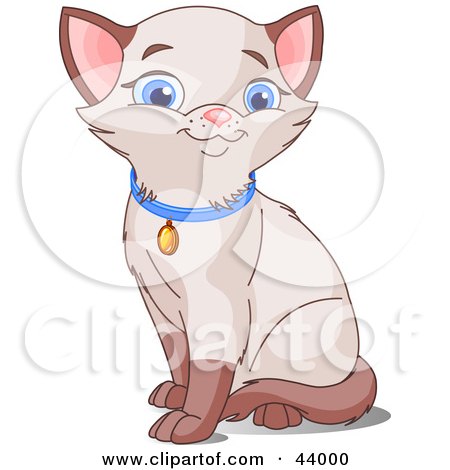 Clipart Illustration of a Cute Siamese Kitten With Blue Eyes, Wearing A Collar by Pushkin