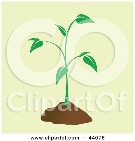 Clipart Illustration of a Green Sprouting Plant With A Mound Of Dirt by Arena Creative
