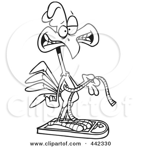 Royalty-Free (RF) Clip Art Illustration of a Cartoon Black And White Outline Design Of A Rooster Measuring And Weighing Himself by toonaday