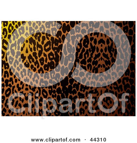 Royalty-free (RF) Clip Art Of Leopard Fur Pattern Background by michaeltravers