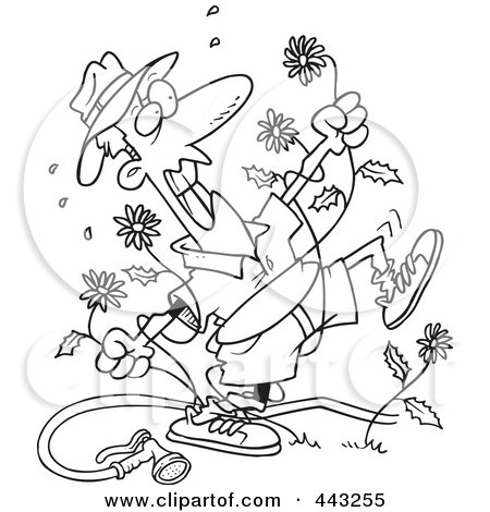 Royalty-Free (RF) Clip Art Illustration of a Cartoon Black And White Outline Design Of A Mad Man Pulling Dandelions by toonaday