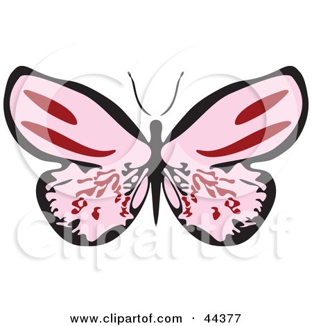 Clipart Illustration of a Fluttering Pink Butterfly With Its Wings Wide Open by Frisko