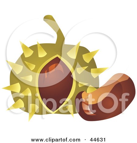 Clipart Illustration of a Spiky Chestnut by MilsiArt