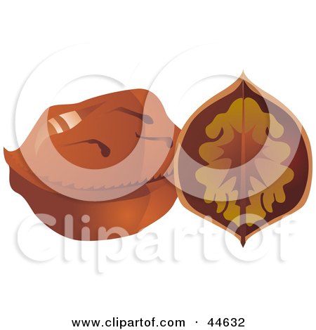 Clipart Illustration of a Halved and Whole Walnut by MilsiArt