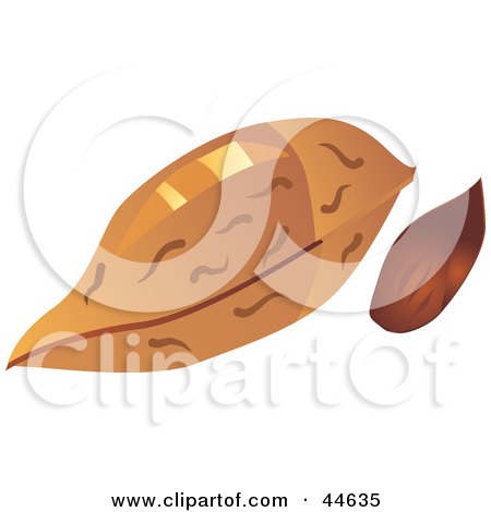 Clipart Illustration of an Almond and Shell by MilsiArt