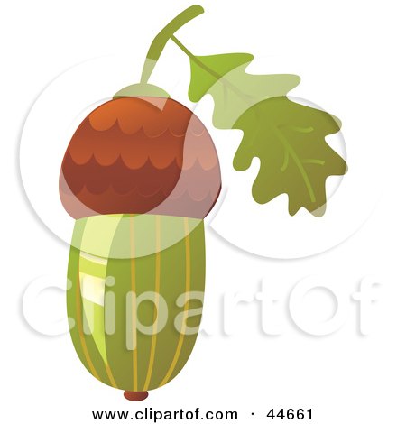Clipart Illustration of a Green Acorn by MilsiArt