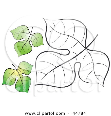 Royalty-free (RF) Clipart Illustration of Two Green And One Black And White Tree Leaves by Lal Perera
