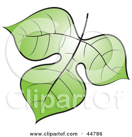 Royalty-free (RF) Clipart Illustration of a Glowing Green Tree Leaf by Lal Perera