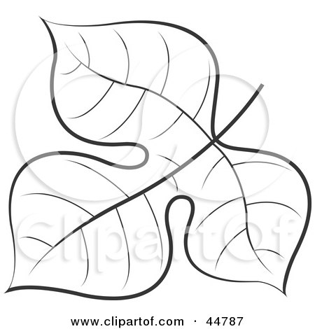 Royalty-free (RF) Clipart Illustration of a Black And White Tree Leaf Color Page by Lal Perera