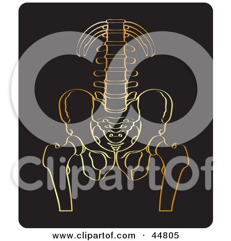 Royalty-free (RF) Clipart Illustration of a Gold Xray Of A Human Pelvis And Spine by Lal Perera