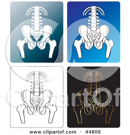 Royalty-free (RF) Clipart Illustration of a Digital Collage Of X Rays Of A Human Pelvis by Lal Perera