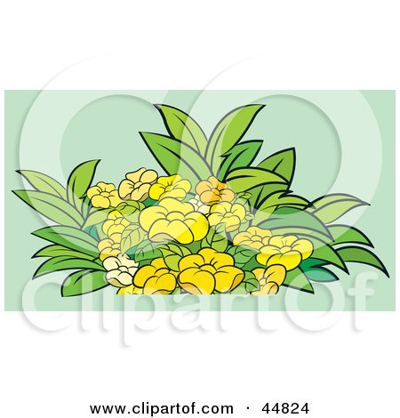 Royalty-free (RF) Clipart Illustration of a Flowering Plant With Yellow Blooms by Lal Perera