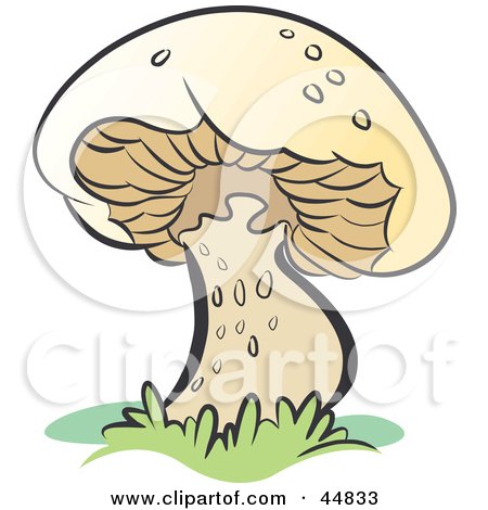 Royalty-free (RF) Clipart Illustration of a Fresh Growing Brown Mushroom by Lal Perera