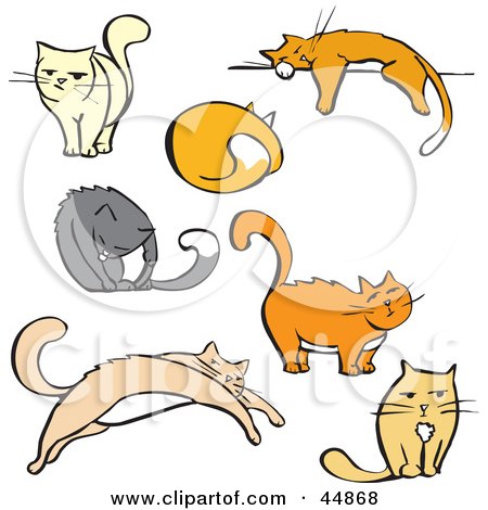Royalty-free (RF) Clipart Illustration of a Digital Collage Of Seven Cats by xunantunich