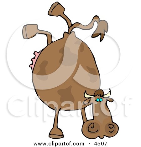 Cow Doing Handstand Clipart by djart