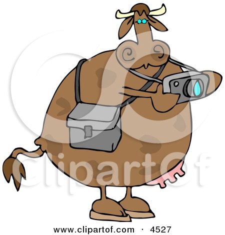 Photographer Cow Taking Photographes with a Digital Camera Clipart by djart