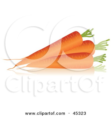 Royalty-free (RF) Clipart Illustration of Three Thick Organic Carrots by Oligo
