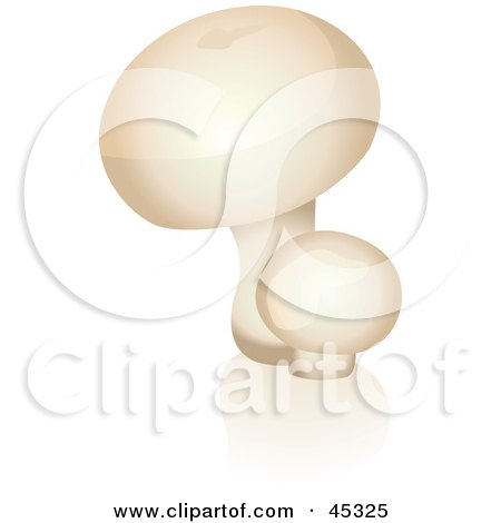 Royalty-free (RF) Clipart Illustration of Two Organic Button Mushrooms by Oligo