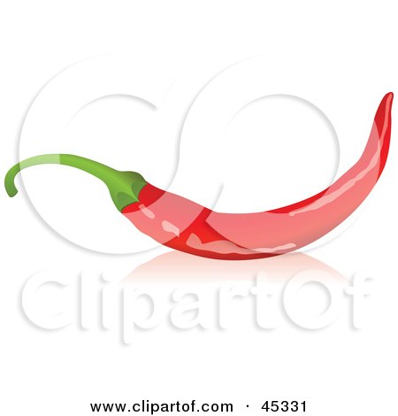Royalty-free (RF) Clipart Illustration of a Long Red Organic Chili Pepper by Oligo