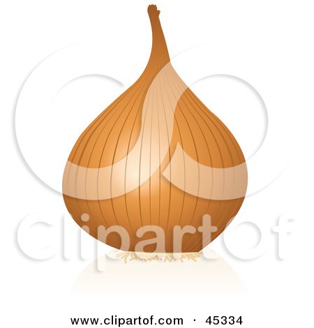 Royalty-free (RF) Clipart Illustration of an Organic Yellow Onion by Oligo
