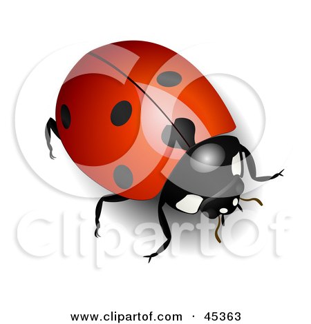 Royalty-free (RF) Clipart Illustration of a Shiny Red Ladybug With Light Reflecting Off Of Its Back by Oligo