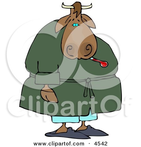 Sick Male Cow Using a Common Mercury Thermometer Clipart by djart