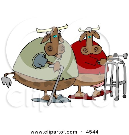 Old Cows Walking Together Clipart by djart