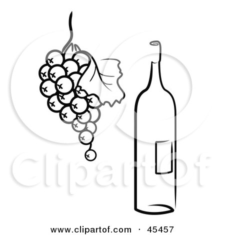 Royalty-Free (RF) Clipart Illustration of a Bunch Of Grapes Suspended Near A Wine Bottle by TA Images